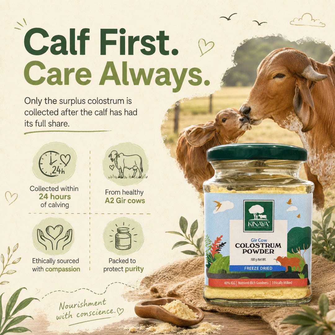 Gir Cow Colostrum Powder (Freeze-Dried)