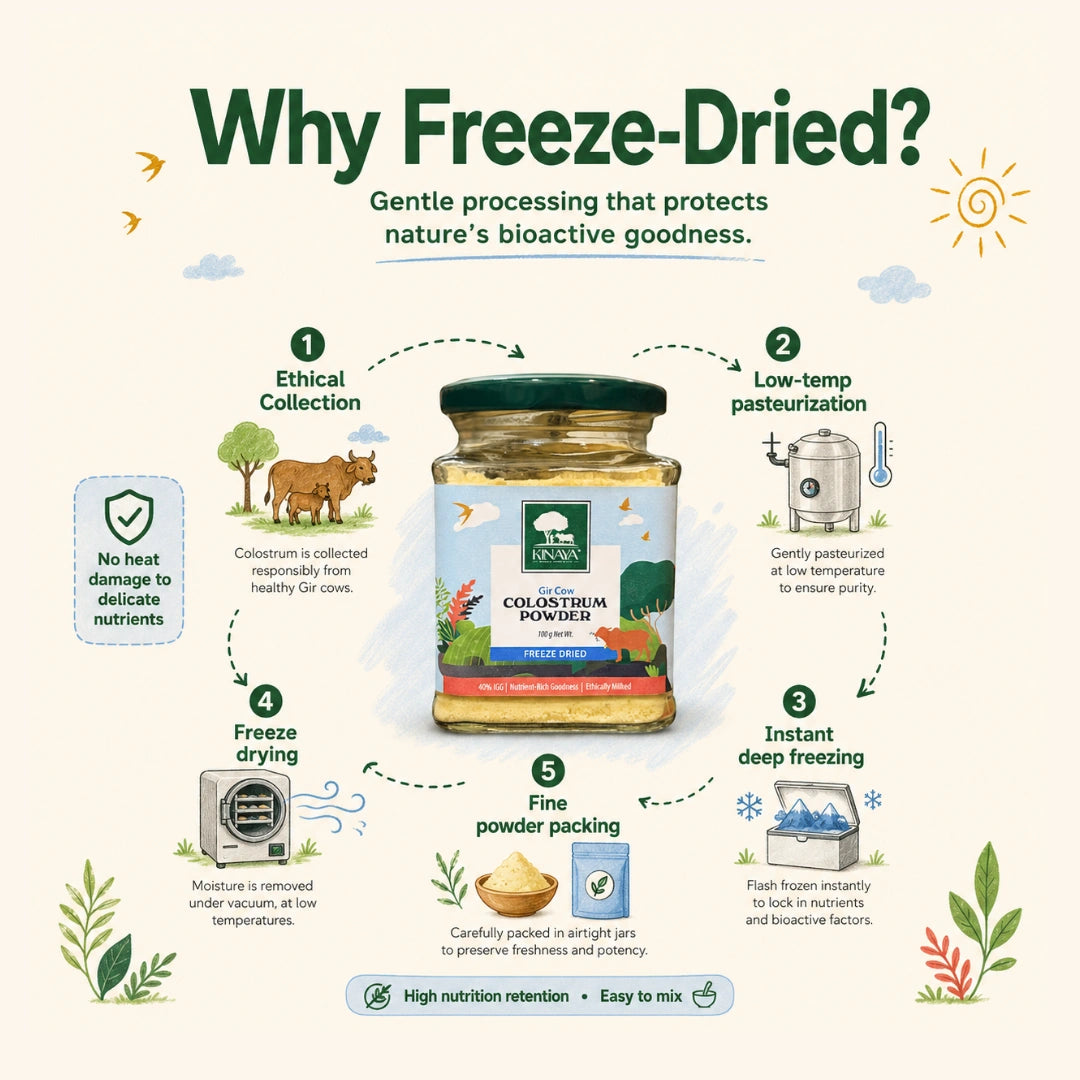 Gir Cow Colostrum Powder (Freeze-Dried)