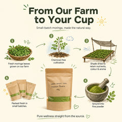 Moringa Powder