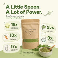 Moringa Powder