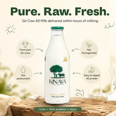 Gir Cow A2 Milk