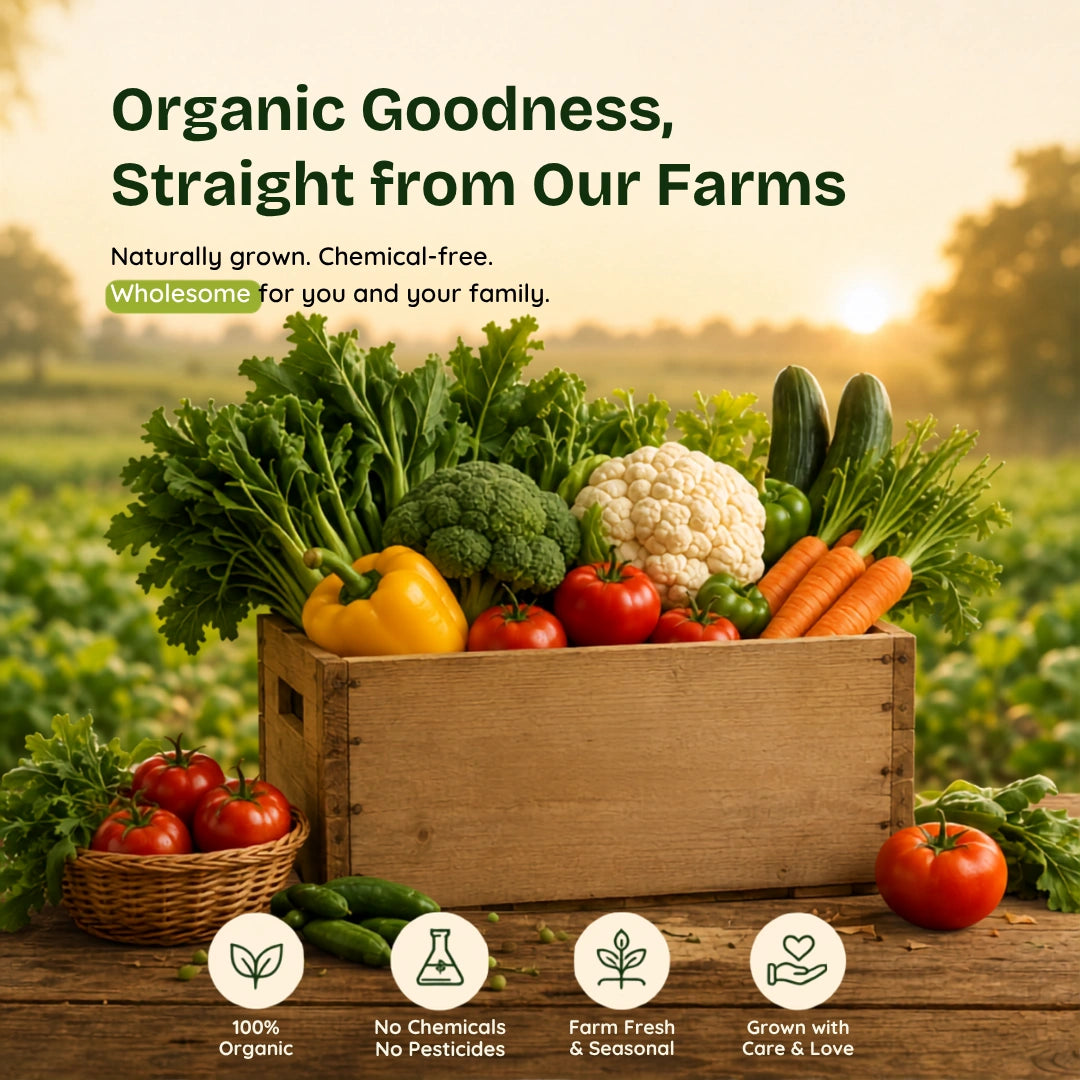 Organic Fruits And Vegetables