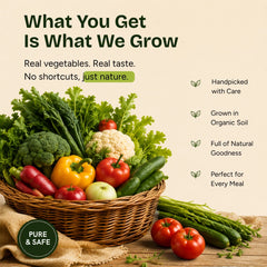 Organic Fruits And Vegetables