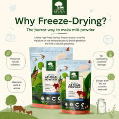 Gir Cow A2 Milk Powder