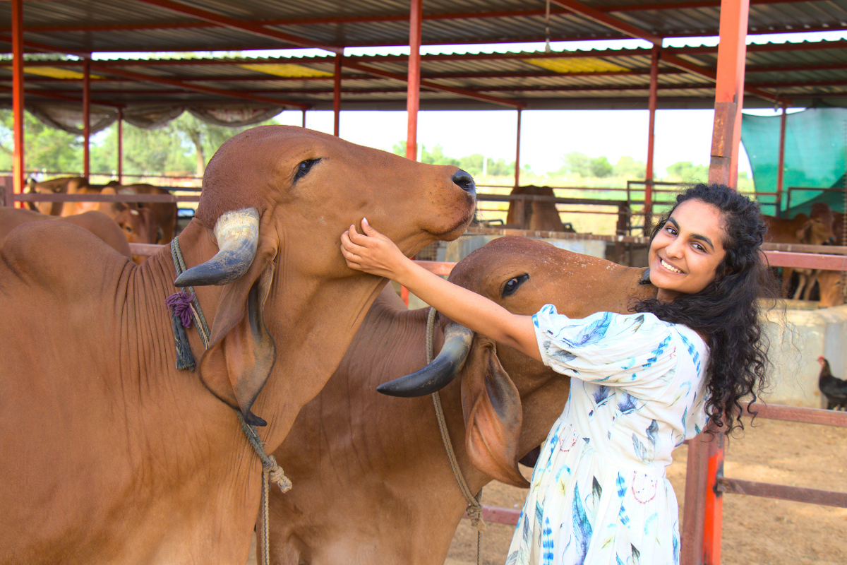 Conscious Cattle Rearing